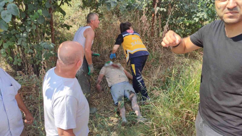 Bursa’da ağır tonajlı araçlar çarpıştı: 2 yaralı Bursa’nın Orhangazi ilçesinde blok mermer yüklü tır ile döküm kumu