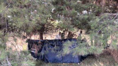 Bursa’da elektrik trafosunun bakımı için geldiler! Korkunç manzarayla karşılaştılar