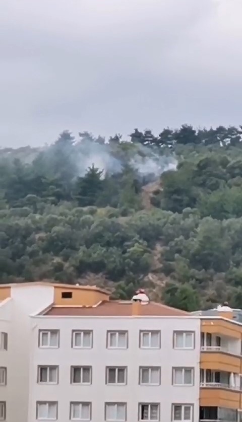 Bursa’da makilik alanda çıkan yangın söndürüldü