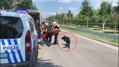 Bursa’da sokak ortasında dehşet! Köpeği ambulansın yanından ayrılmadı