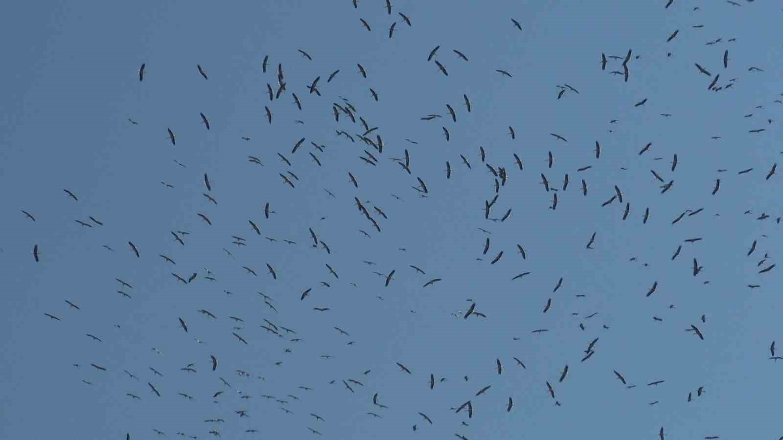 Bursa semalarında görsel şölen