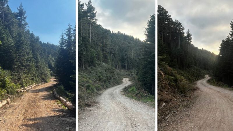 Bursa’da orman yangını riskini azaltan çalışma