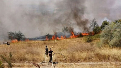 İstanbul’da orman yangını
