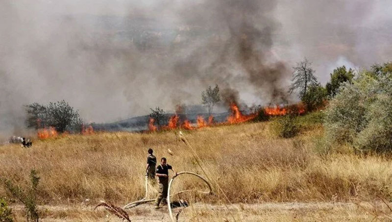 İstanbul’da orman yangını