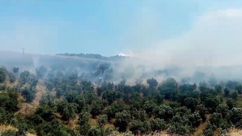 İznik’te korkutan yangın! Bursa’nın İznik ilçesinde makilik alanda yangın çıktı. Kısa sürede büyüyen
