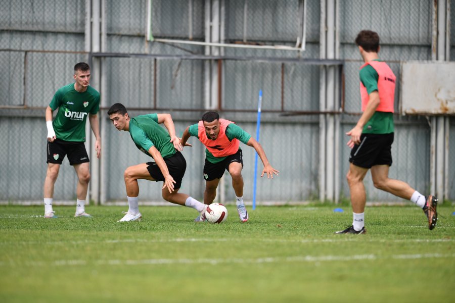 Timsah ara vermedi Timsah ara vermedi