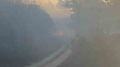 Bursa’da bir orman yangını daha