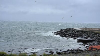 Karadeniz ısınıyor: Biyolojik çeşitlilik risk altında