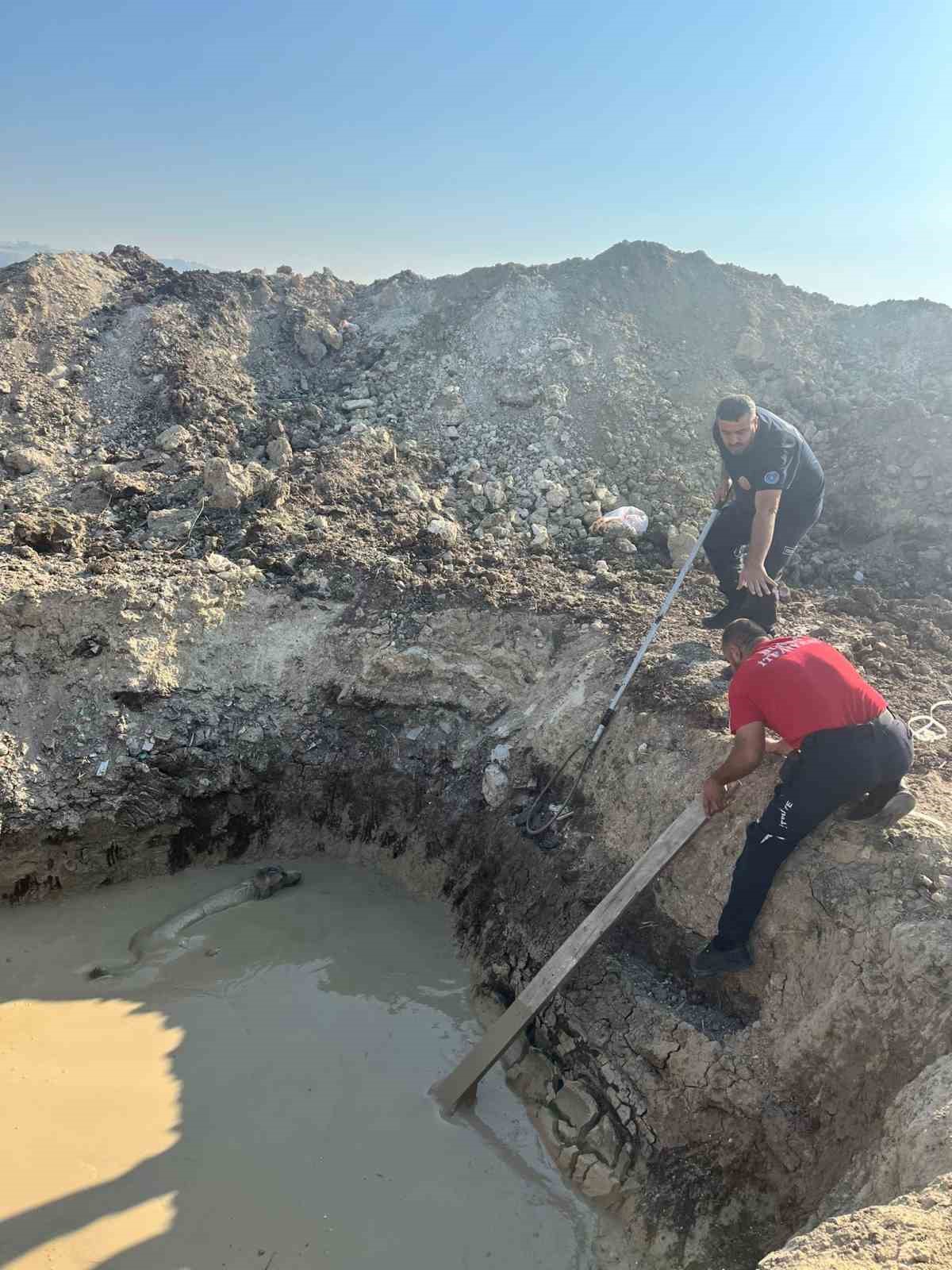Bursa’da kuyuya düşen köpeği itfaiye ekipleri kurtardı
