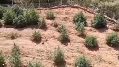 Terör örgütünün 36,4 milyar lira yasa dışı geliri engellendi