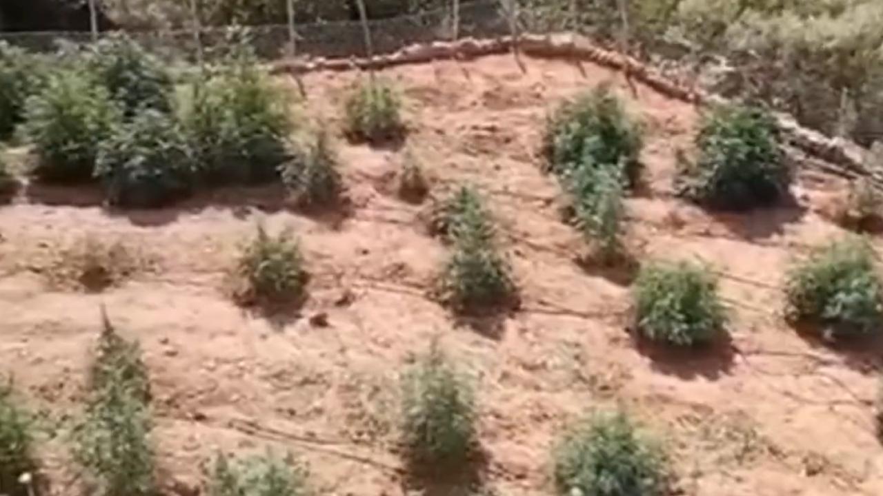 Terör örgütünün 36,4 milyar lira yasa dışı geliri engellendi