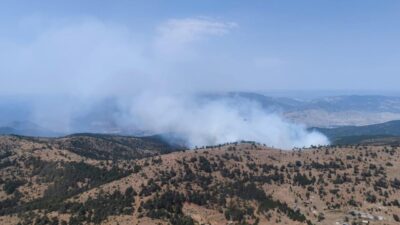 7 ilde orman yangını! Müdahale sürüyor