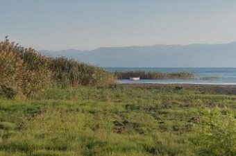 İznik Gölü’ndeki büyük tehlike! Bursa’nın eski Vali yardımcısı uyardı…