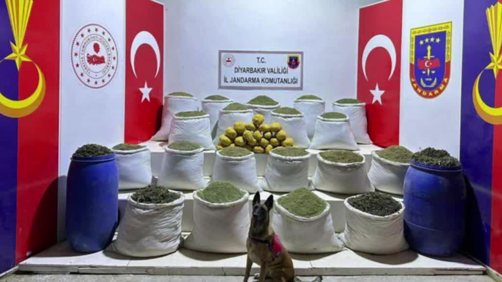 10 ilde zehir tacirlerine dev operasyon: 265 gözaltı 10 ilde zehir tacirlerine dev operasyon: 265 gözaltı