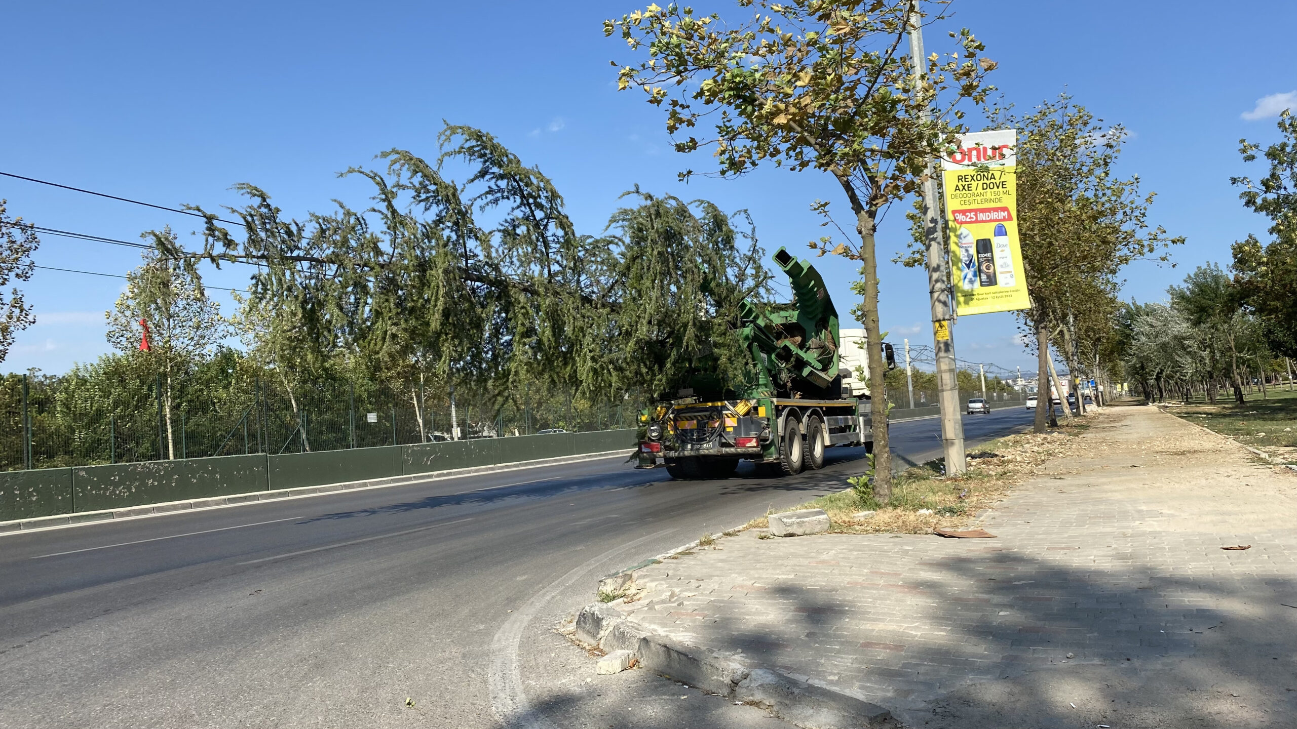 Bursa’da ‘yeşil’ transferi! Zarar görmemesi için taşınıyorlar