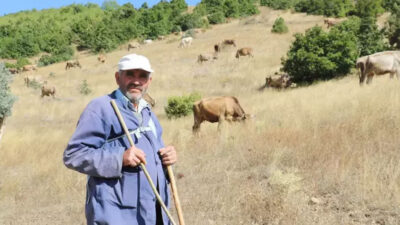 30 bin TL maaşla çoban bulamıyorlar