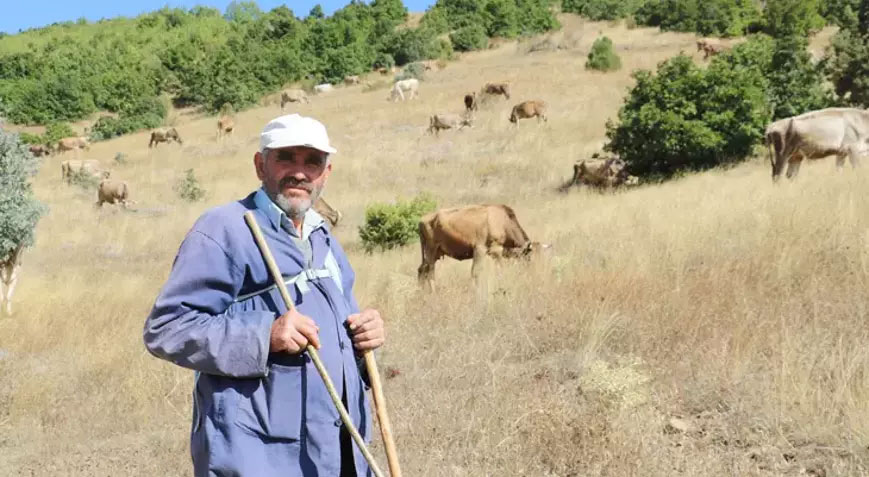30 bin TL maaşla çoban bulamıyorlar 30 bin TL maaşla çoban bulamıyorlar