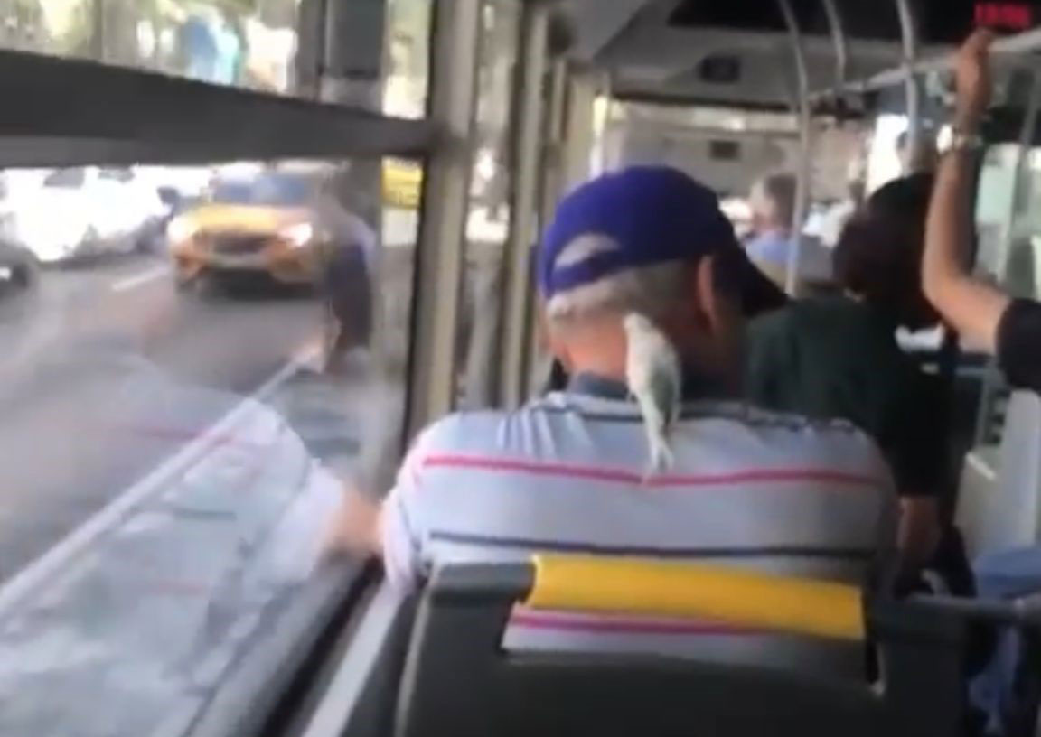 Bursa’da ensesine konan muhabbet kuşuyla böyle seyahat etti