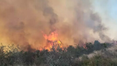 Çanakkale’de maki yangını! Müdahale sürüyor