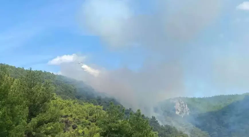 Çanakkale’de orman yangını başladı