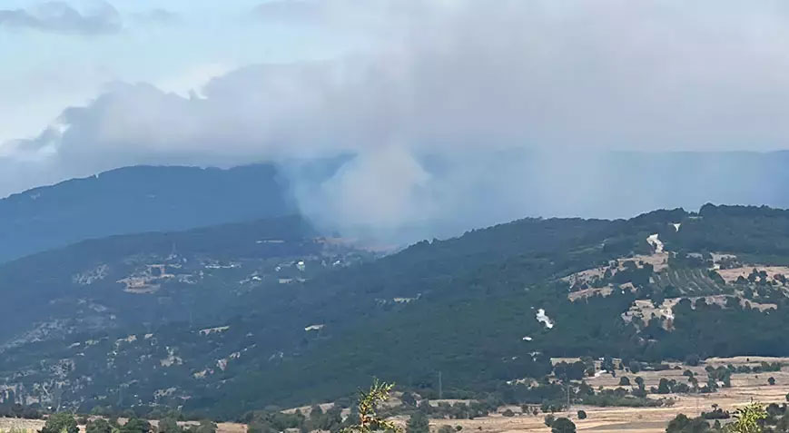 Kütahya’da orman yangını! Ekipler harekete geçti