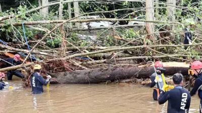 Bakan Tunç’tan İğneada açıklaması: Soruşturma başlatıldı