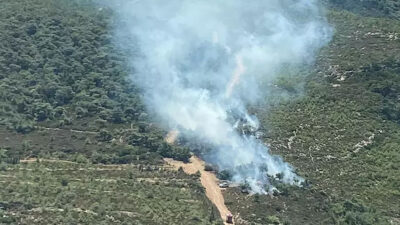 İzmir’de orman yangını! Havadan ve karadan müdahale ediliyor