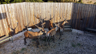 Bursa’dan Salda Gölü’ne götürüldüler