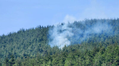 Bursa’da yıldırım düşmesi sonucu orman yangını çıktı