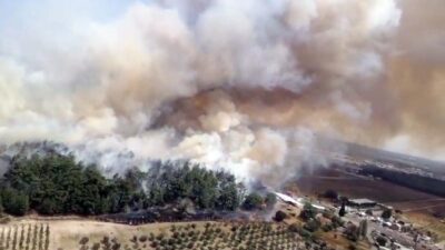İzmir’de orman yangını