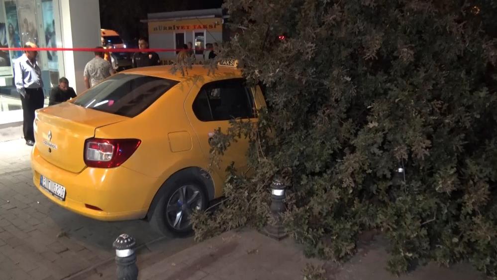 Bursa’da 2 asırlık ağaç devrildi Bursa’da 2 asırlık ağaç devrildi