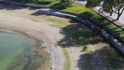 Bursa’da tedirgin eden durum!