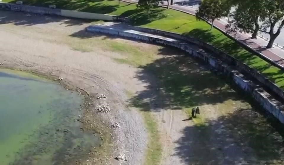 Bursa’da tedirgin eden durum! Bursa’da tedirgin eden durum!