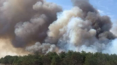 Çerkezköy’de orman yangını