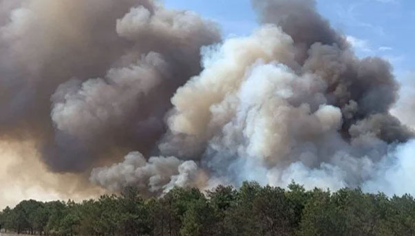 Çerkezköy’de orman yangını