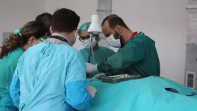 Kadavra gönüllüsü aranıyor! 9 bağışçımız var ama dosya olarak duruyorlar