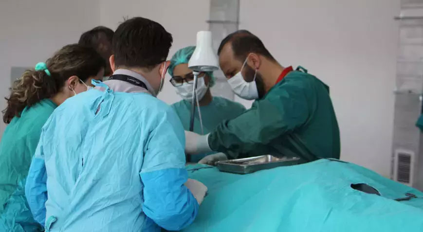 Kadavra gönüllüsü aranıyor! 9 bağışçımız var ama dosya olarak duruyorlar