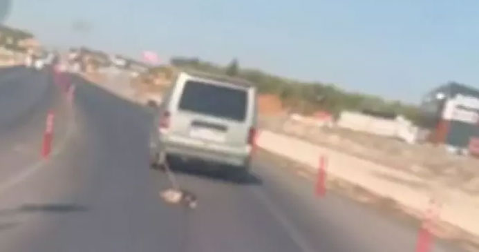 Korkunç olay! Aracına bağlayıp köpeği sürükledi