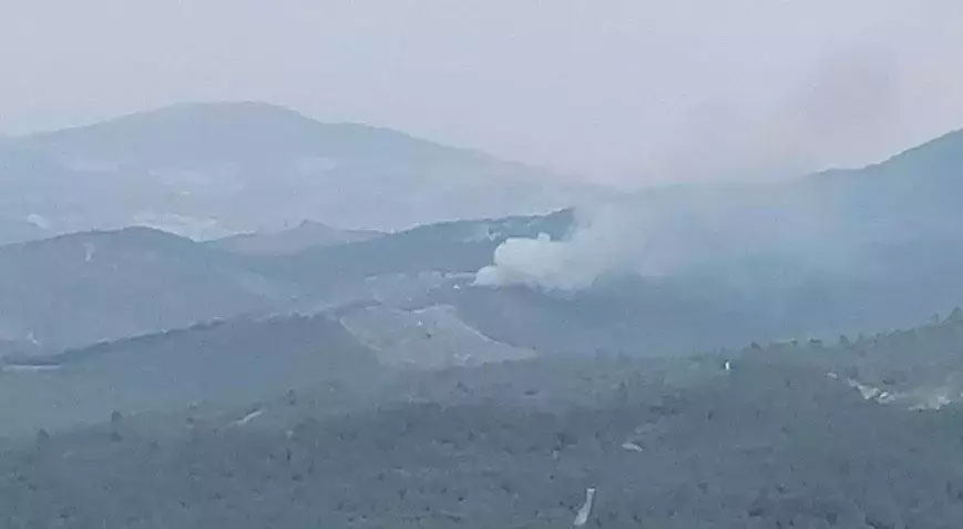 Manisa’da orman yangını! Ekipler sevk edildi