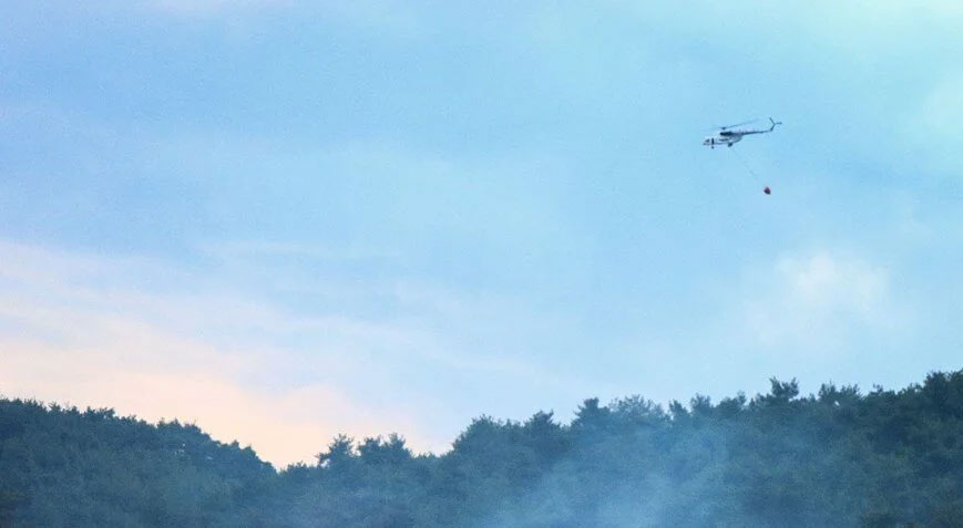 Bursa’da orman yangını