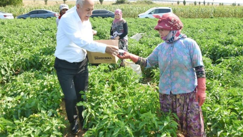 Yenişehir Belediyesi’nin çiftçinin kazancını artırmak, vatandaşın da sağlıklı gıdaya erişimini