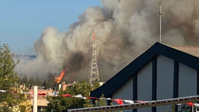 Bursa’da orman yangını