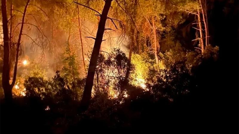 Adana’da orman yangını! 6 farklı noktadan başladı