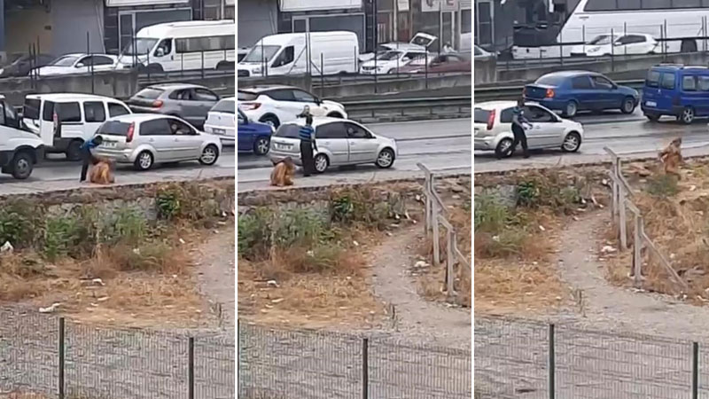 Bursa’da dehşet saçtı! Yol kenarında… Bursa’da dehşet saçtı! Yol kenarında…