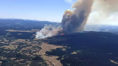 Bolu’da orman yangını! Ekipler sevk edildi