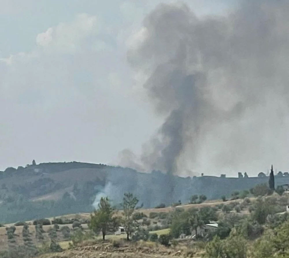 Adana’da 4 dönüm kızılçam ormanı yandı