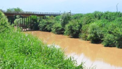 Gediz Nehri ‘çok kirli’ çıktı