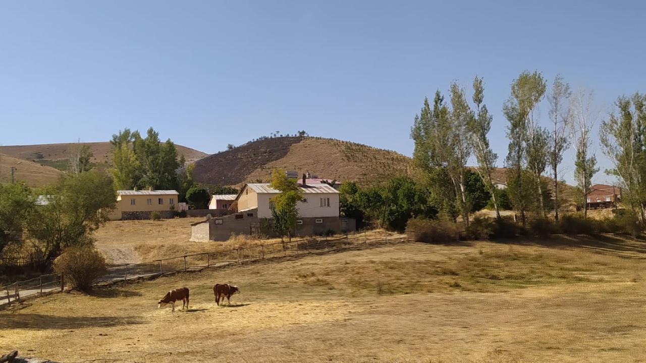 12 bin fidan diktiği ormanda çıkan yangında öldü