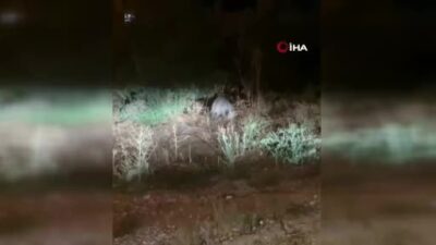 Bursa’da sitelere dadandılar! Vatandaşın korkulu rüyası oldu