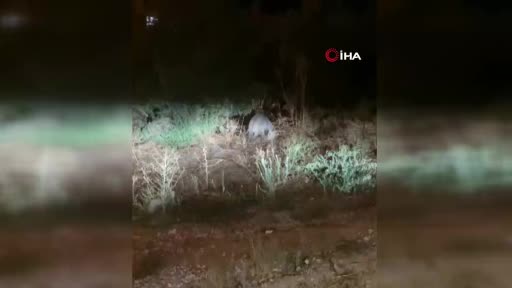 Bursa’da sitelere dadandılar! Vatandaşın korkulu rüyası oldu